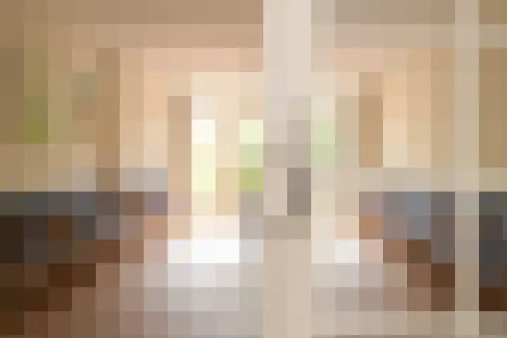 Stadhouderslaan 8 Den Haag thumbnail 13