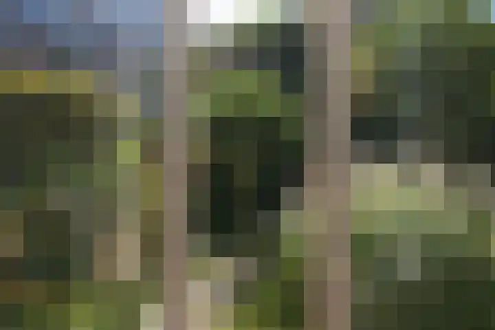 Stadhouderslaan 8 Den Haag thumbnail 16