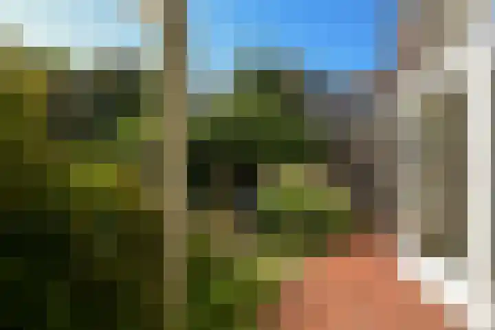 Stadhouderslaan 8 Den Haag thumbnail 17