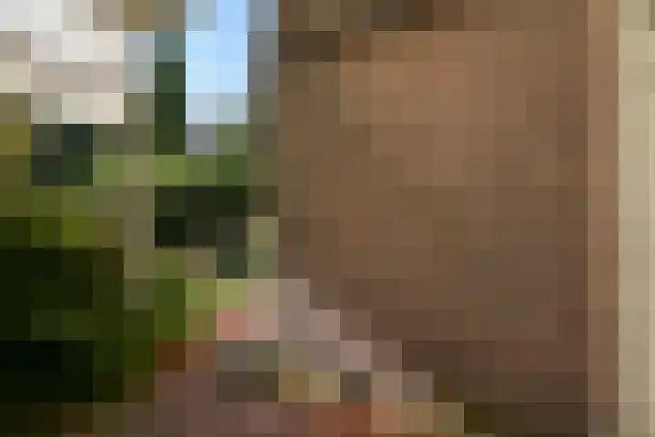 Stadhouderslaan 8 Den Haag thumbnail 18
