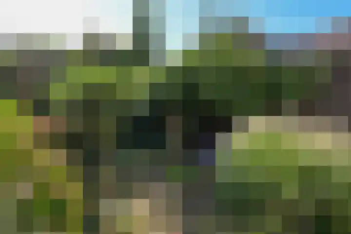 Stadhouderslaan 8 Den Haag thumbnail 19