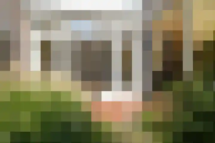 Stadhouderslaan 8 Den Haag thumbnail 21