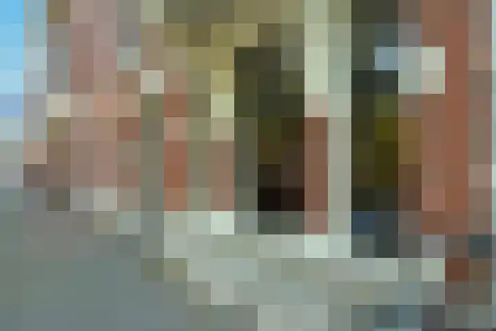 Stadhouderslaan 8 Den Haag thumbnail 5