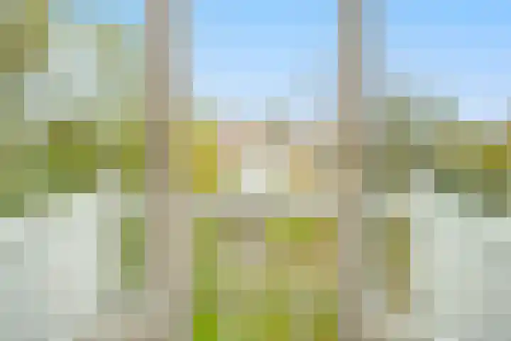Stadhouderslaan 8 Den Haag thumbnail 55