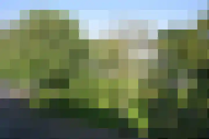 Stadhouderslaan 8 Den Haag thumbnail 56