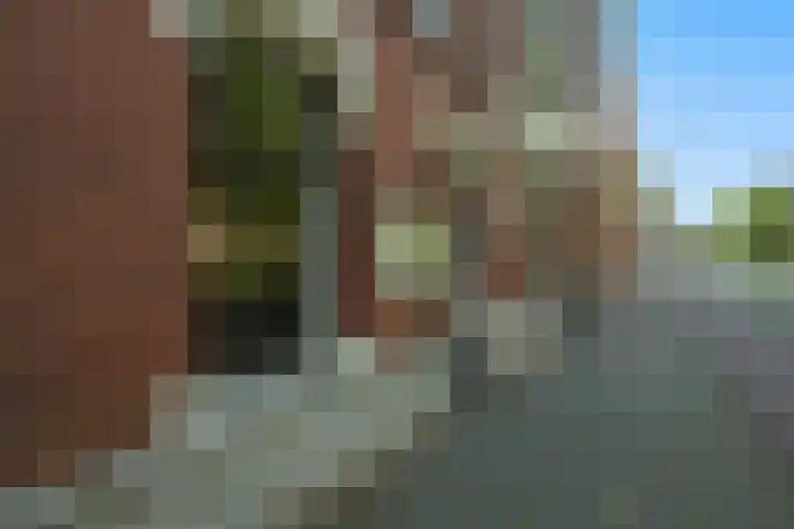 Stadhouderslaan 8 Den Haag thumbnail 6
