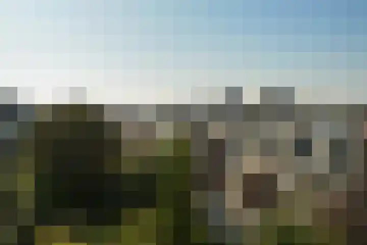 Stadhouderslaan 8 Den Haag thumbnail 67