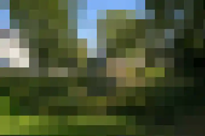 Stadhouderslaan 8 Den Haag thumbnail 69