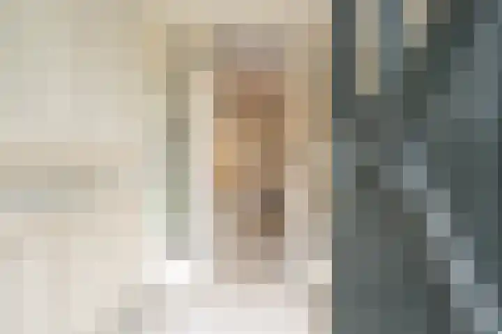 Stadhouderslaan 8 Den Haag thumbnail 7