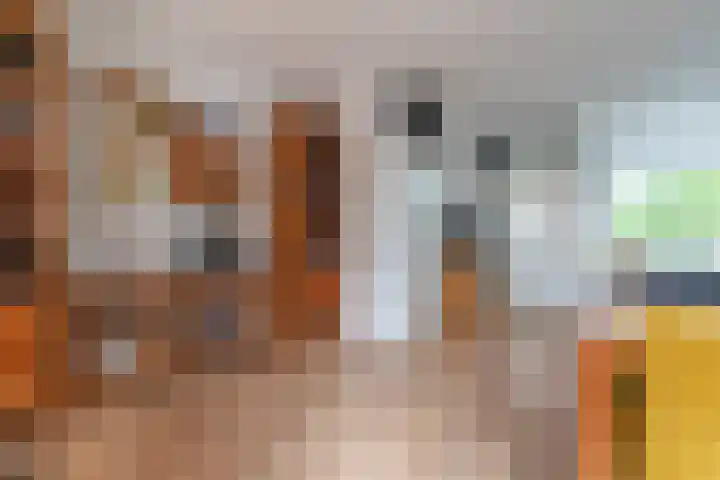 Stadhouderslaan 87 Veenendaal thumbnail 11