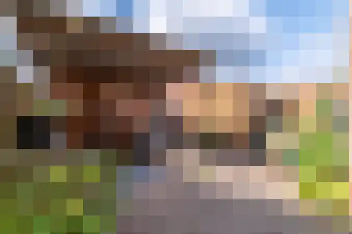 Stadhouderslaan 87 Veenendaal thumbnail 33