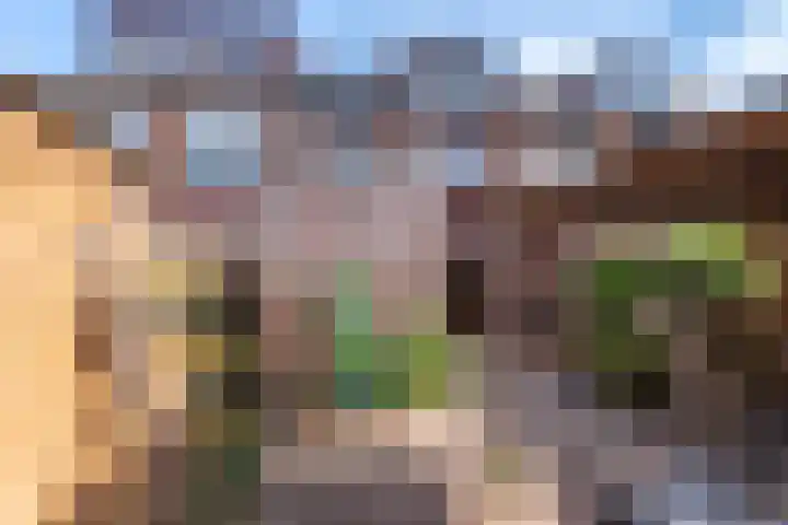 Stadhouderslaan 87 Veenendaal thumbnail 34