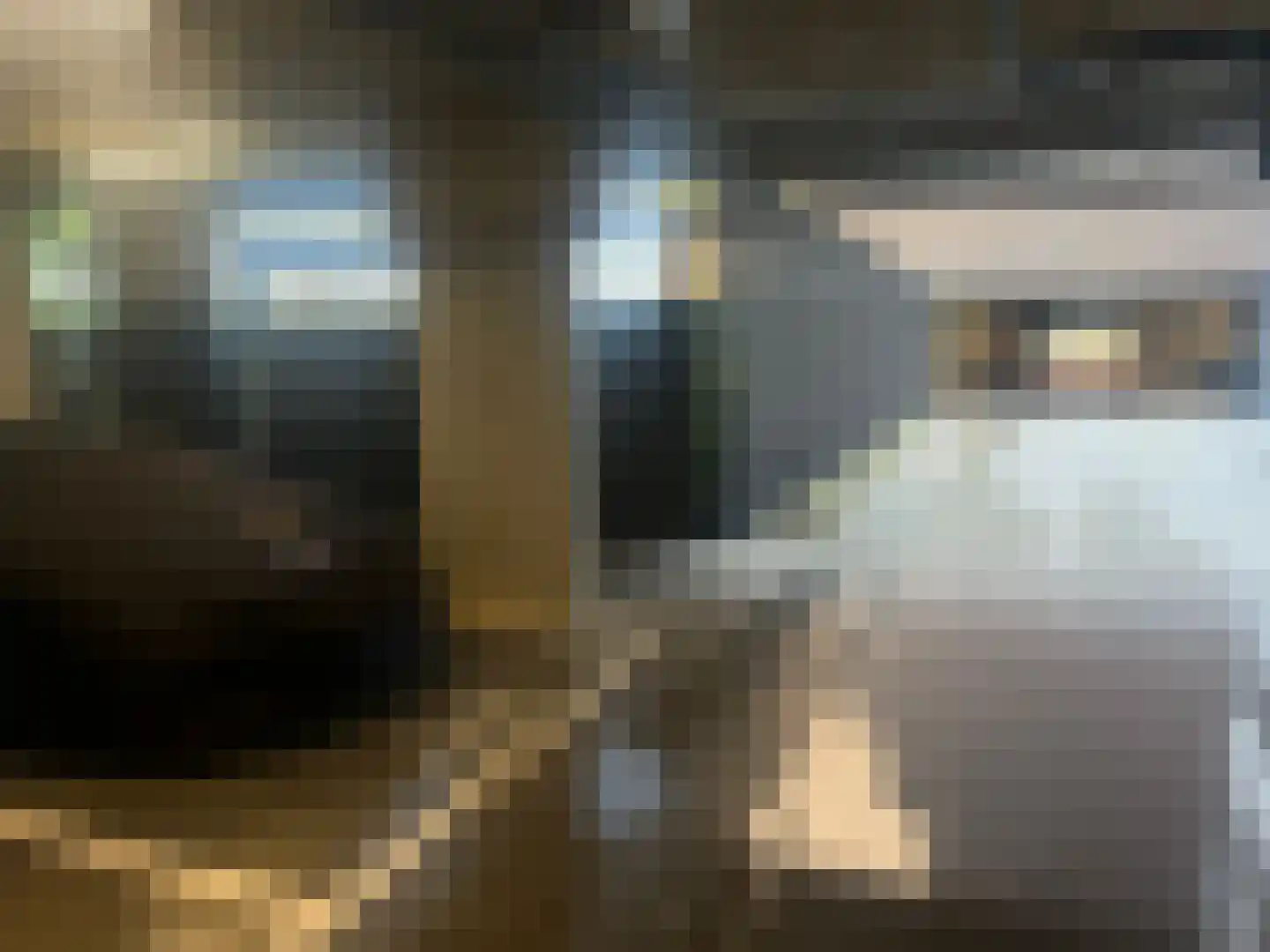 Stadhouderslaan 890 Zoeterwoude thumbnail 7