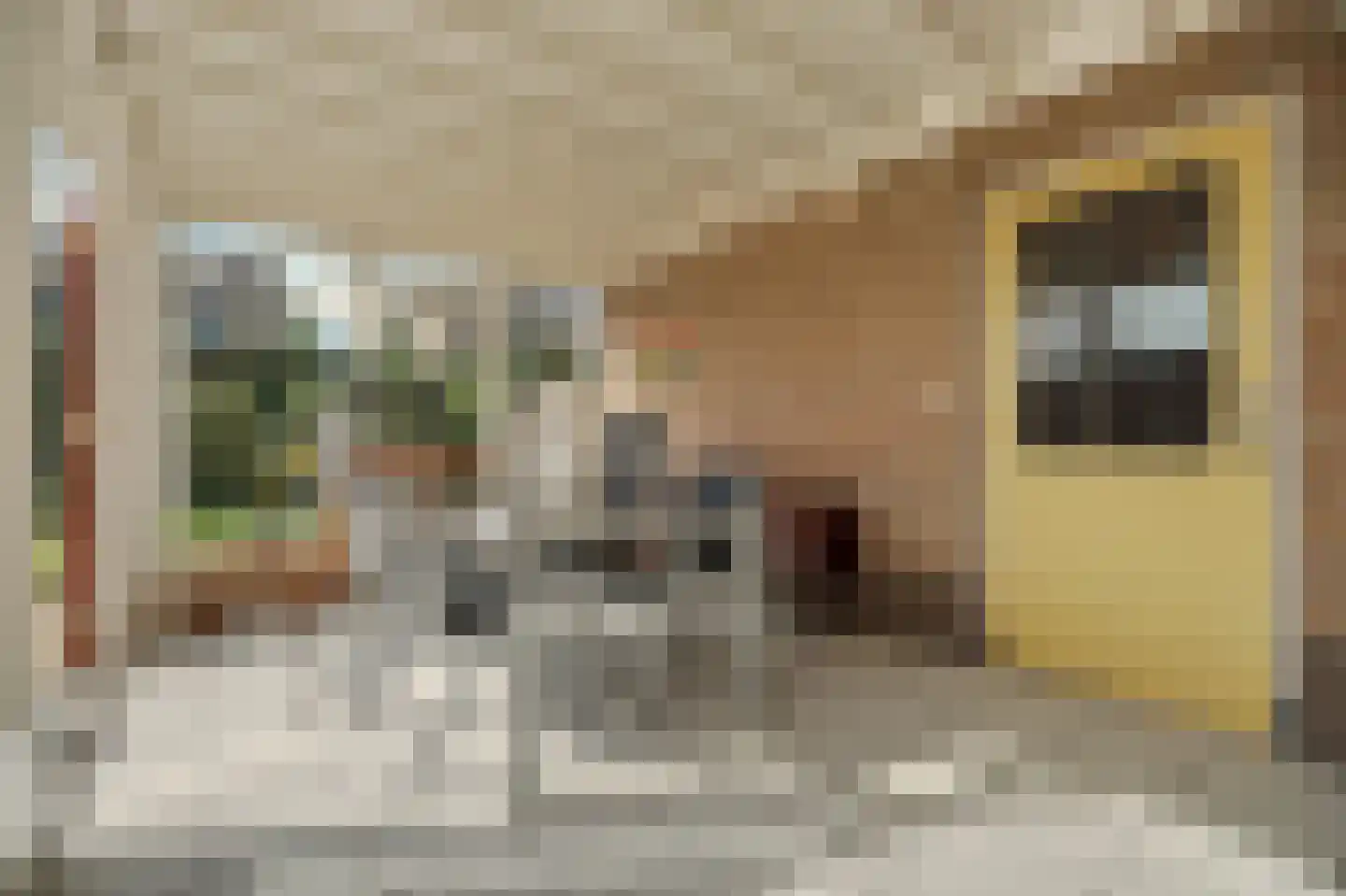 Stadhouderslaan 9 Goes thumbnail 20