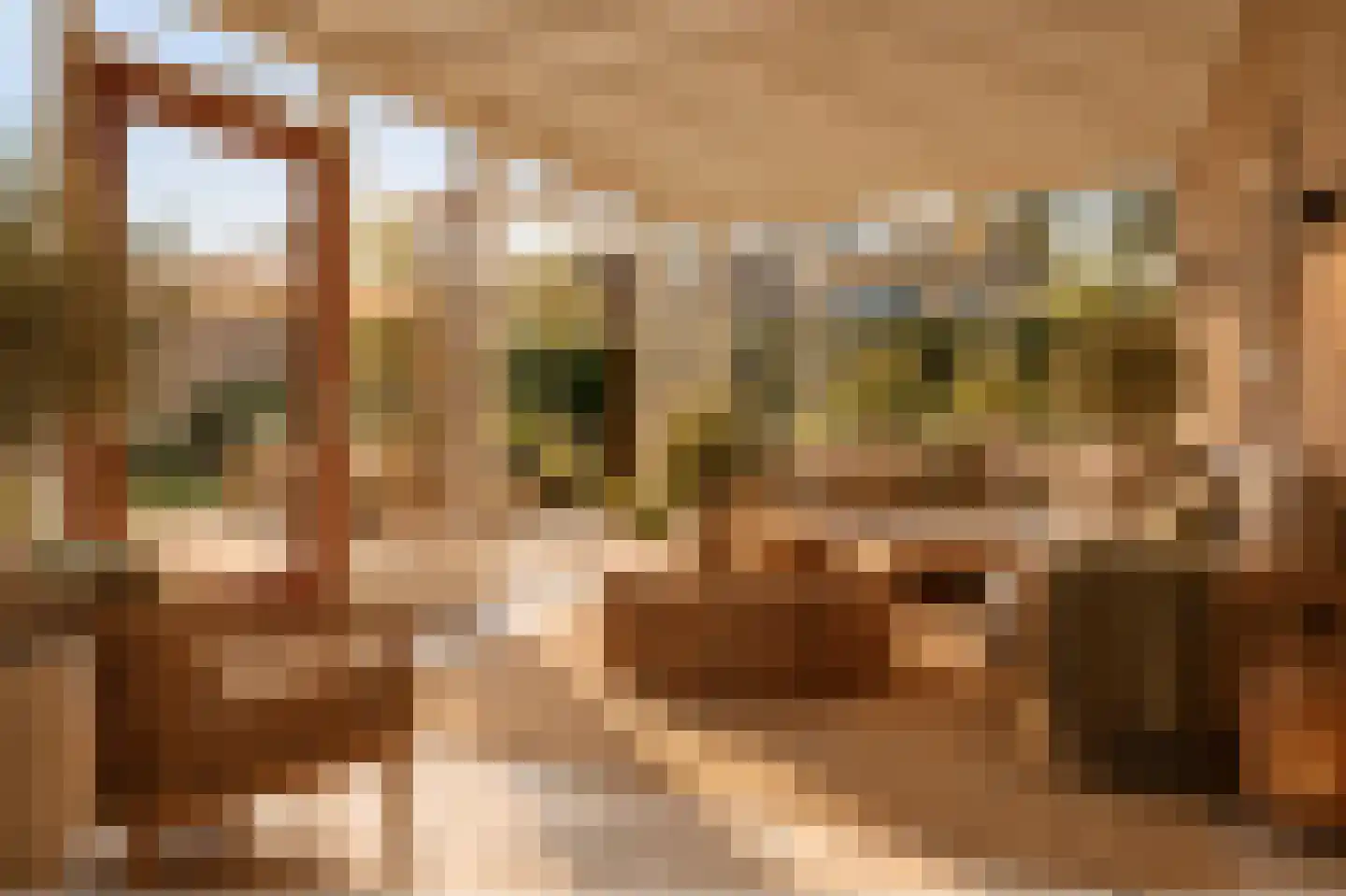Stadhouderslaan 9 Goes thumbnail 22