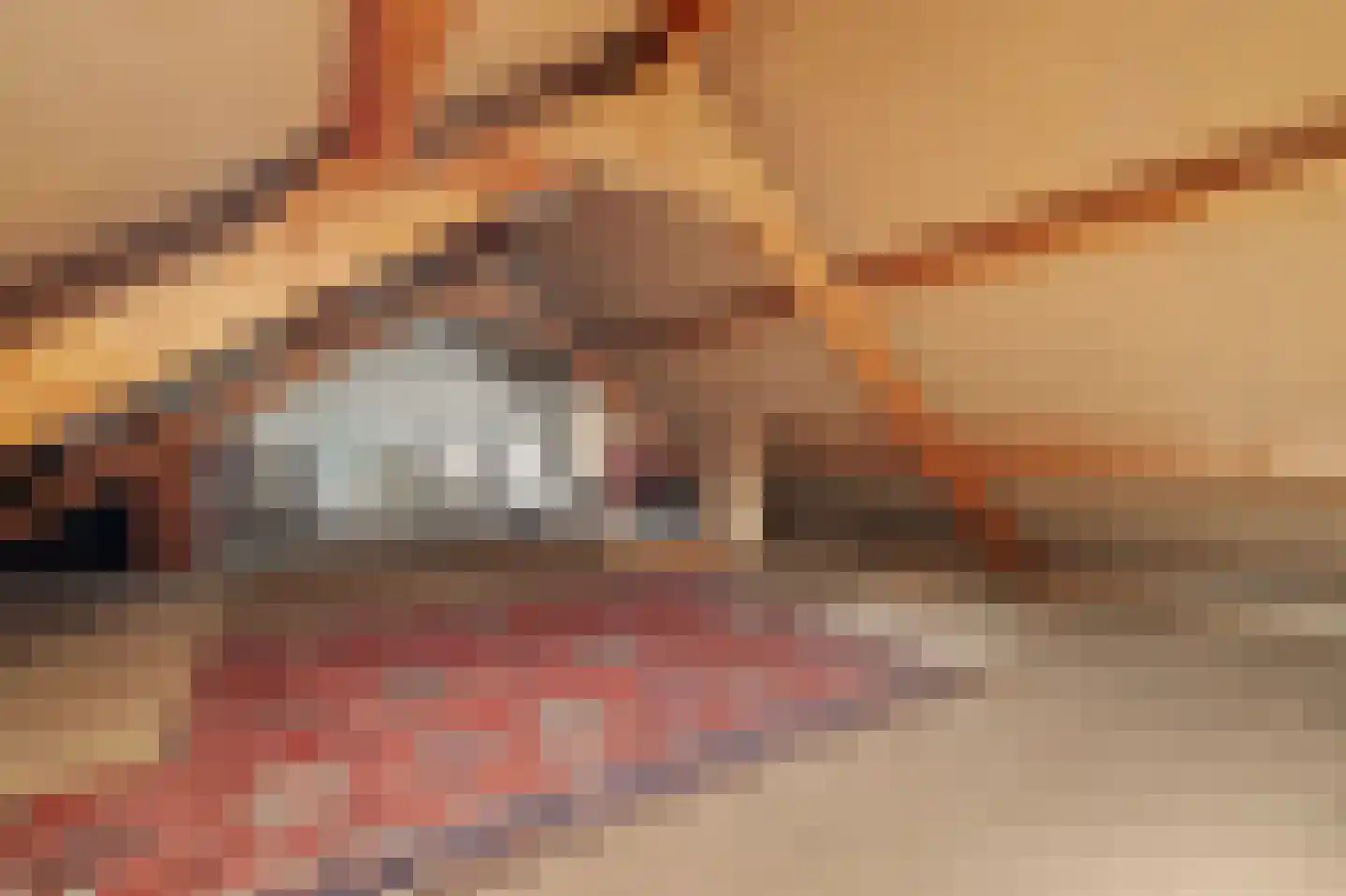 Stadhouderslaan 9 Goes thumbnail 38