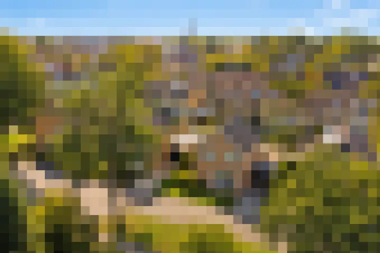 Stadhouderslaan 9 Goes thumbnail 43