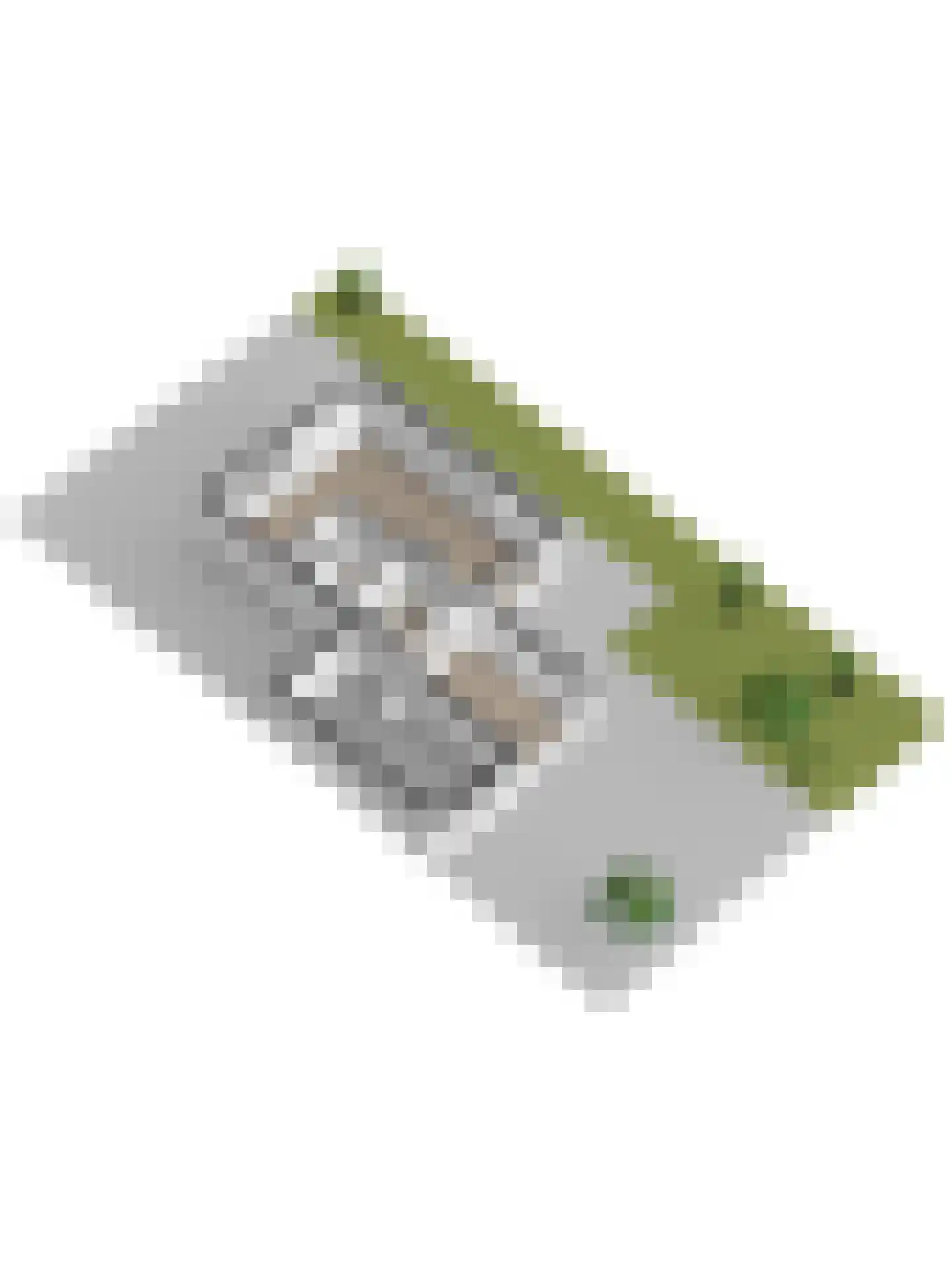 Stadhouderslaan 9 Goes thumbnail 48
