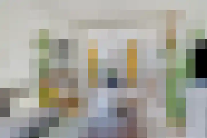 Stadhouderslaan 9 Groningen thumbnail 13
