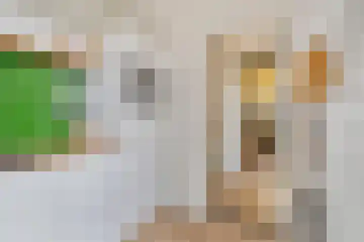 Stadhouderslaan 9 Groningen thumbnail 22