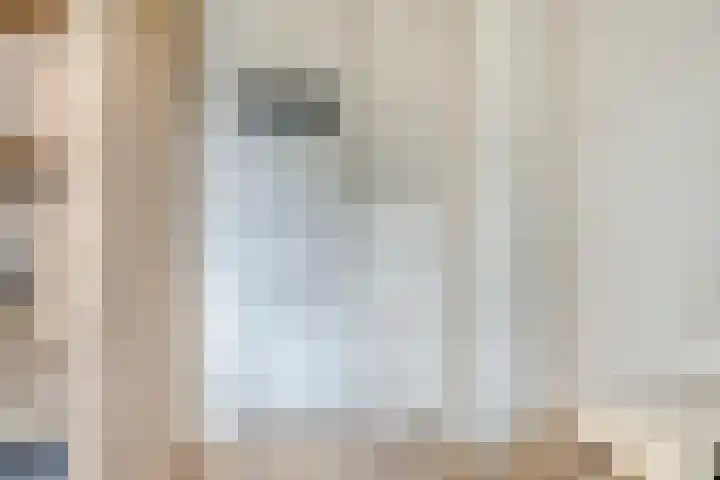 Stadhouderslaan 9 Groningen thumbnail 30