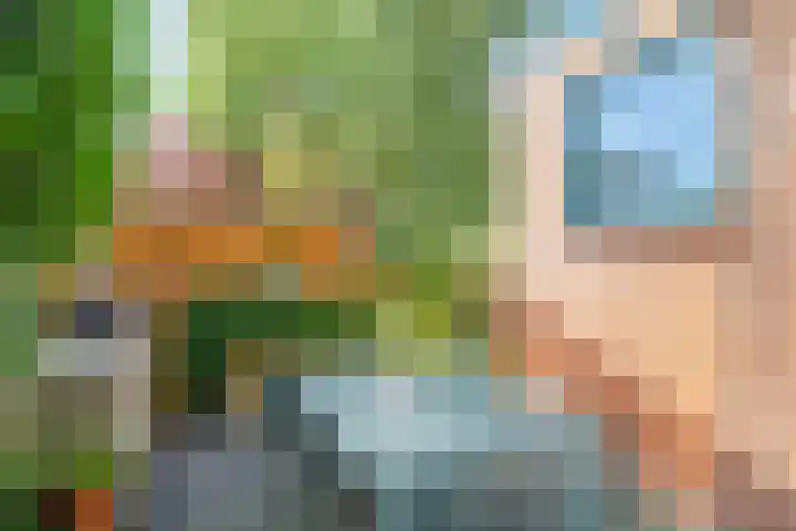 Stadhouderslaan 9 Groningen thumbnail 32