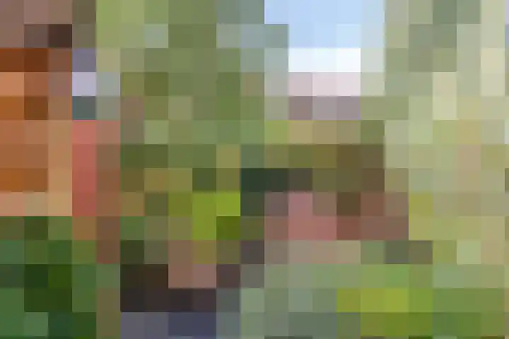 Stadhouderslaan 9 Groningen thumbnail 34