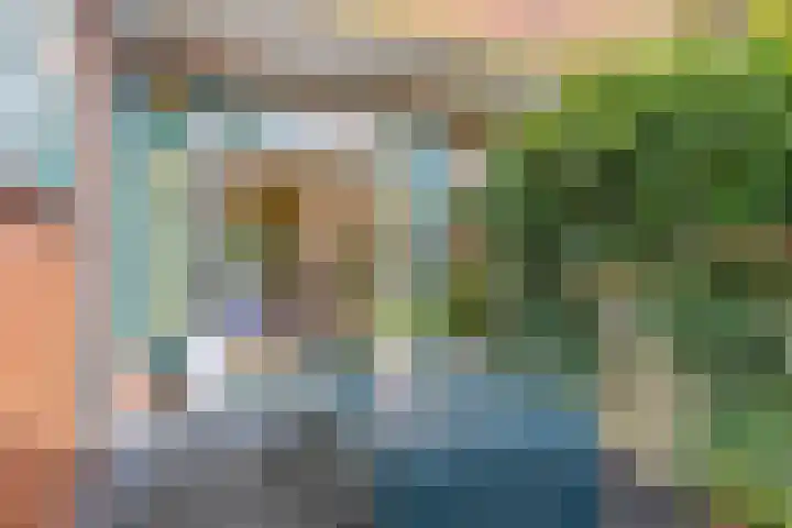 Stadhouderslaan 9 Groningen thumbnail 39