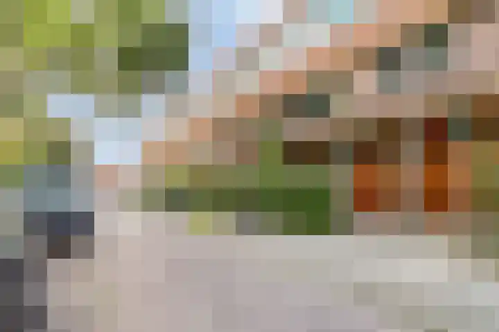 Stadhouderslaan 9 Groningen thumbnail 4