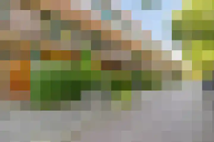 Stadhouderslaan 9 Groningen thumbnail 5