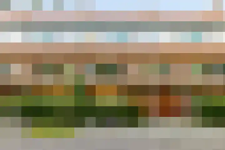 Stadhouderslaan 9 Groningen thumbnail 6