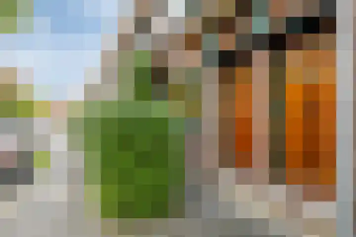 Stadhouderslaan 9 Groningen thumbnail 7