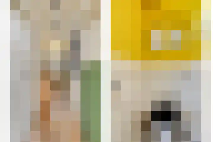 Stadhouderslaan 9 Groningen thumbnail 8
