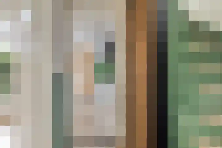 Stadhouderslaan 9 Groningen thumbnail 9
