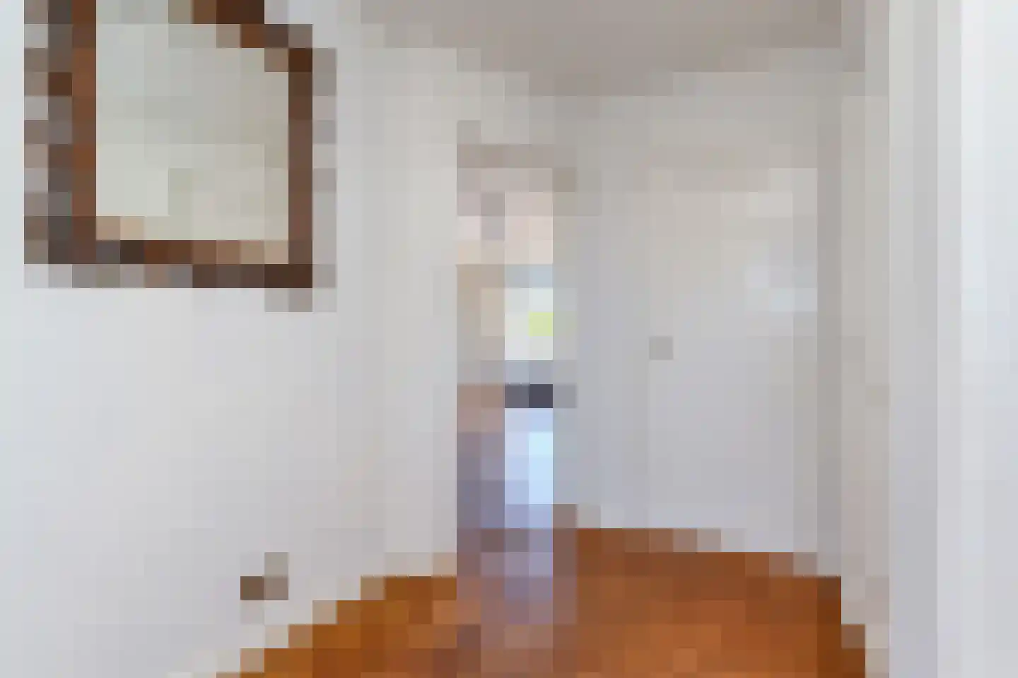 Stadhouderslaan 90 A Den Haag thumbnail 8