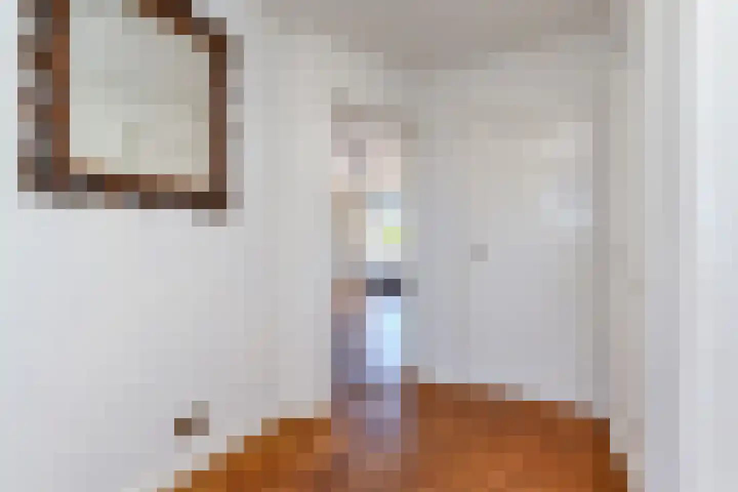 Stadhouderslaan 90 C Den Haag thumbnail 7