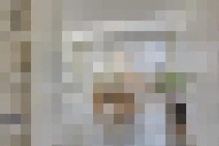 Stadhouderslaan 90 Utrecht thumbnail 11