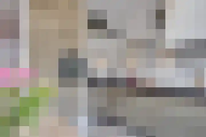 Stadhouderslaan 90 Utrecht thumbnail 13