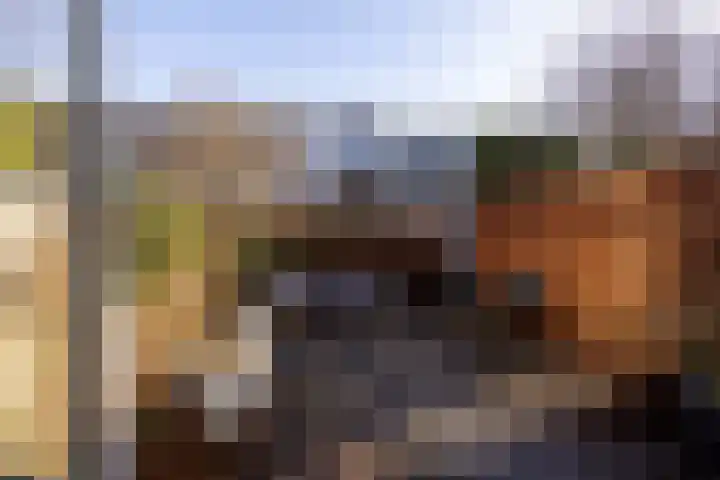 Stadhouderslaan 90 Utrecht thumbnail 15