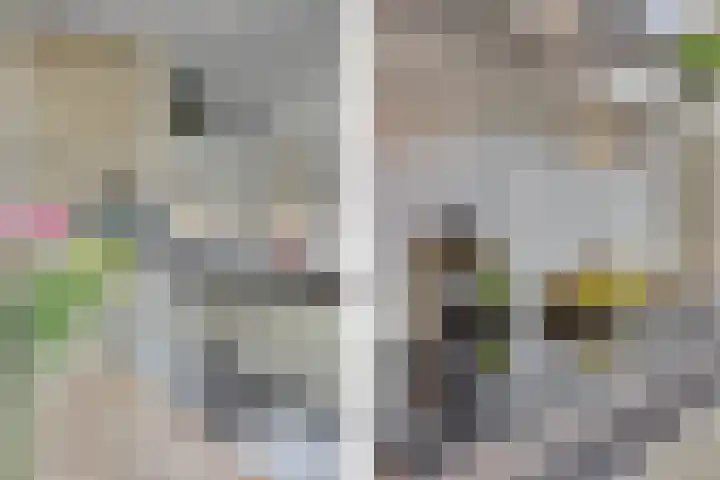 Stadhouderslaan 90 Utrecht thumbnail 20