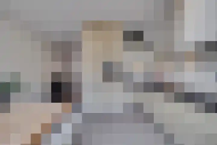Stadhouderslaan 90 Utrecht thumbnail 21