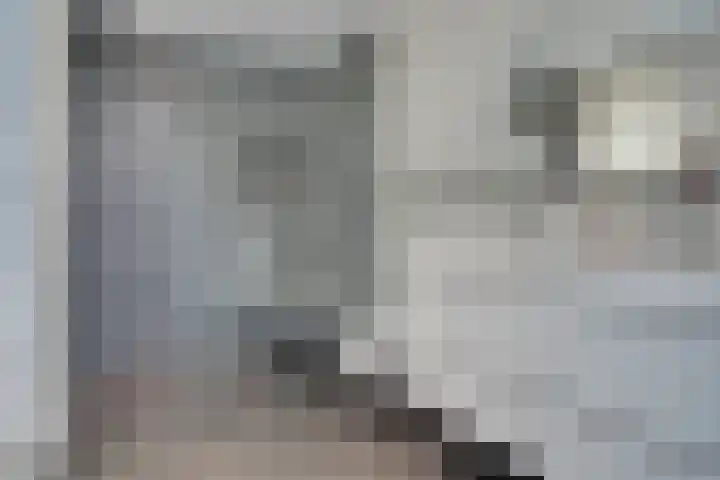 Stadhouderslaan 90 Utrecht thumbnail 30