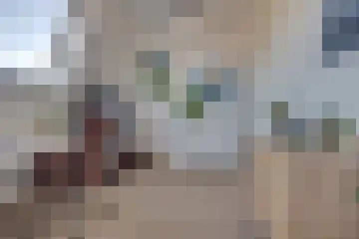 Stadhouderslaan 90 Utrecht thumbnail 36