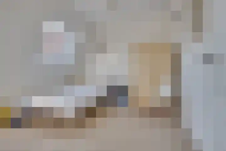 Stadhouderslaan 90 Utrecht thumbnail 37