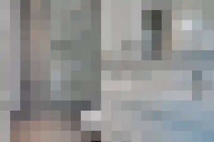 Stadhouderslaan 90 Utrecht thumbnail 39