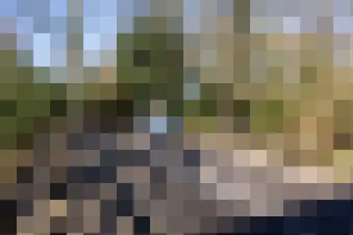 Stadhouderslaan 90 Utrecht thumbnail 44