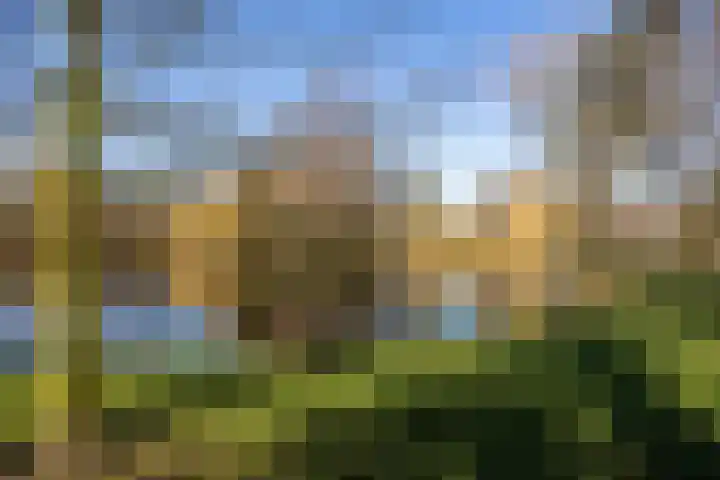 Stadhouderslaan 90 Utrecht thumbnail 45
