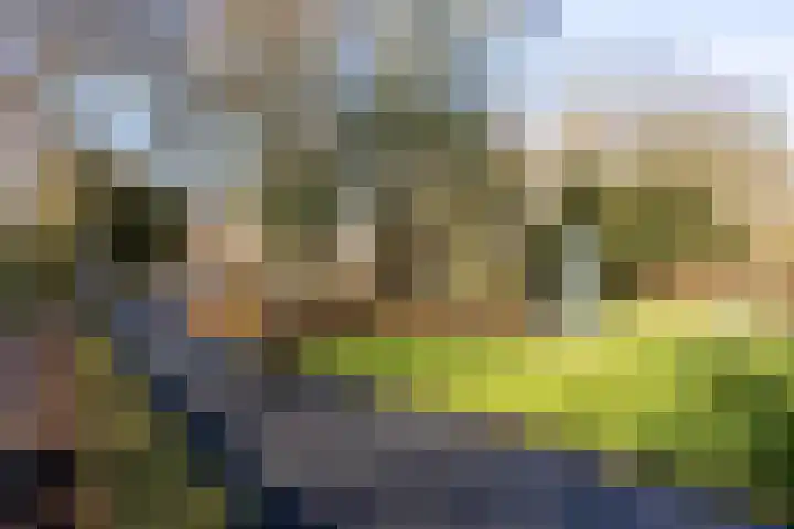 Stadhouderslaan 90 Utrecht thumbnail 46