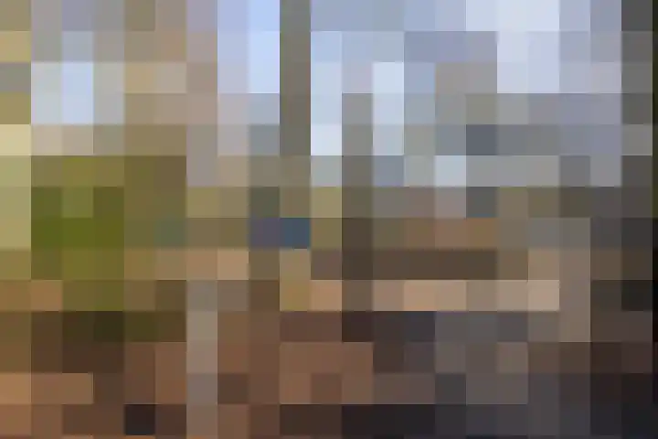 Stadhouderslaan 90 Utrecht thumbnail 47