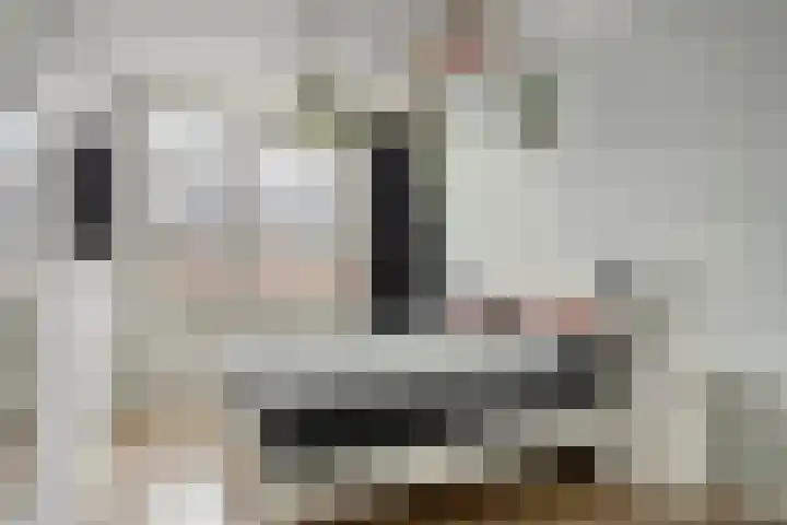 Stadhouderslaan 90 Zoeterwoude thumbnail 20